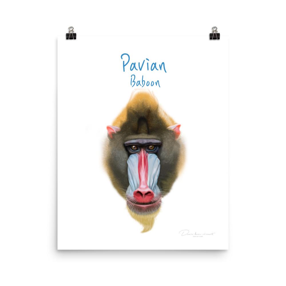 Pavian - Tier Poster für Kinder artlia