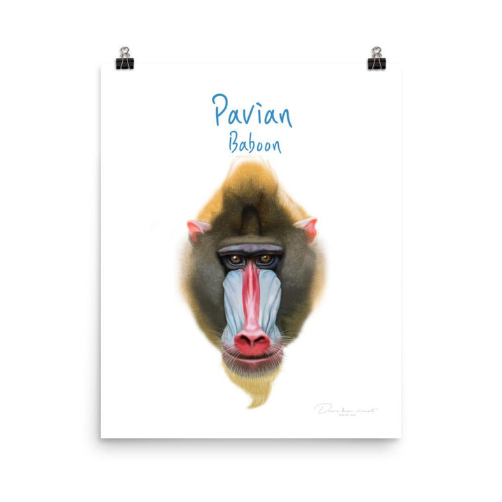 Pavian - Tier Poster für Kinder artlia