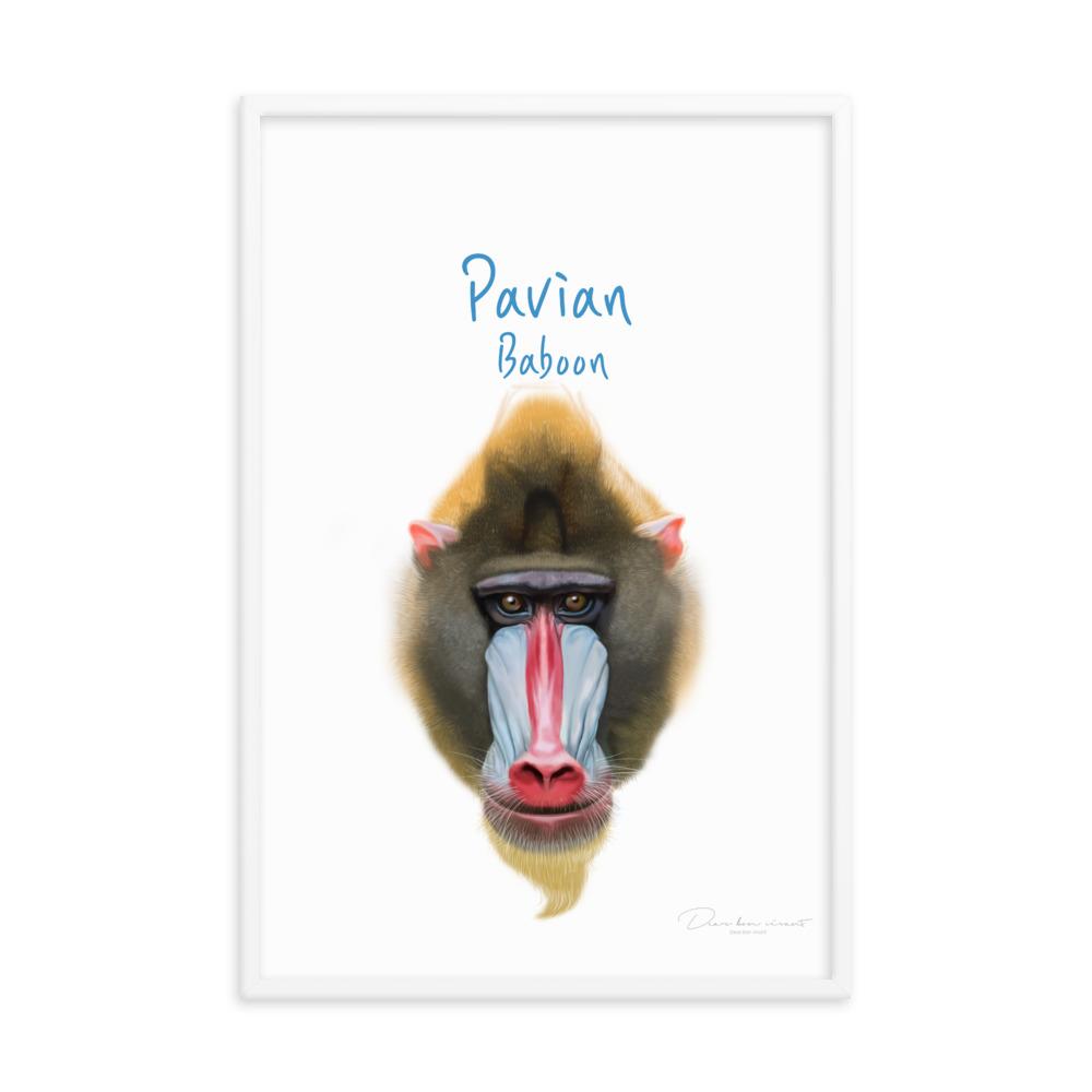 Pavian - Tier Poster für Kinder artlia