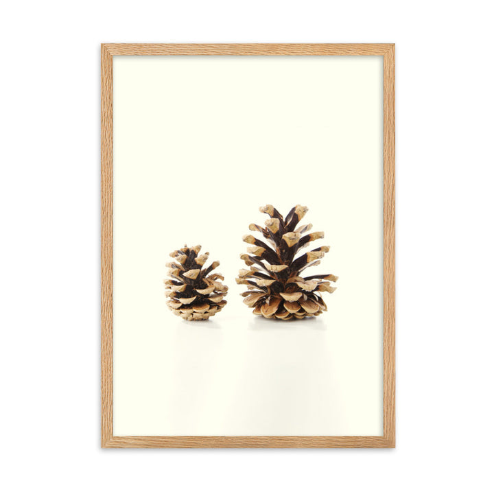 Pine Cone - Poster im Rahmen Oak / 50×70 cm artlia