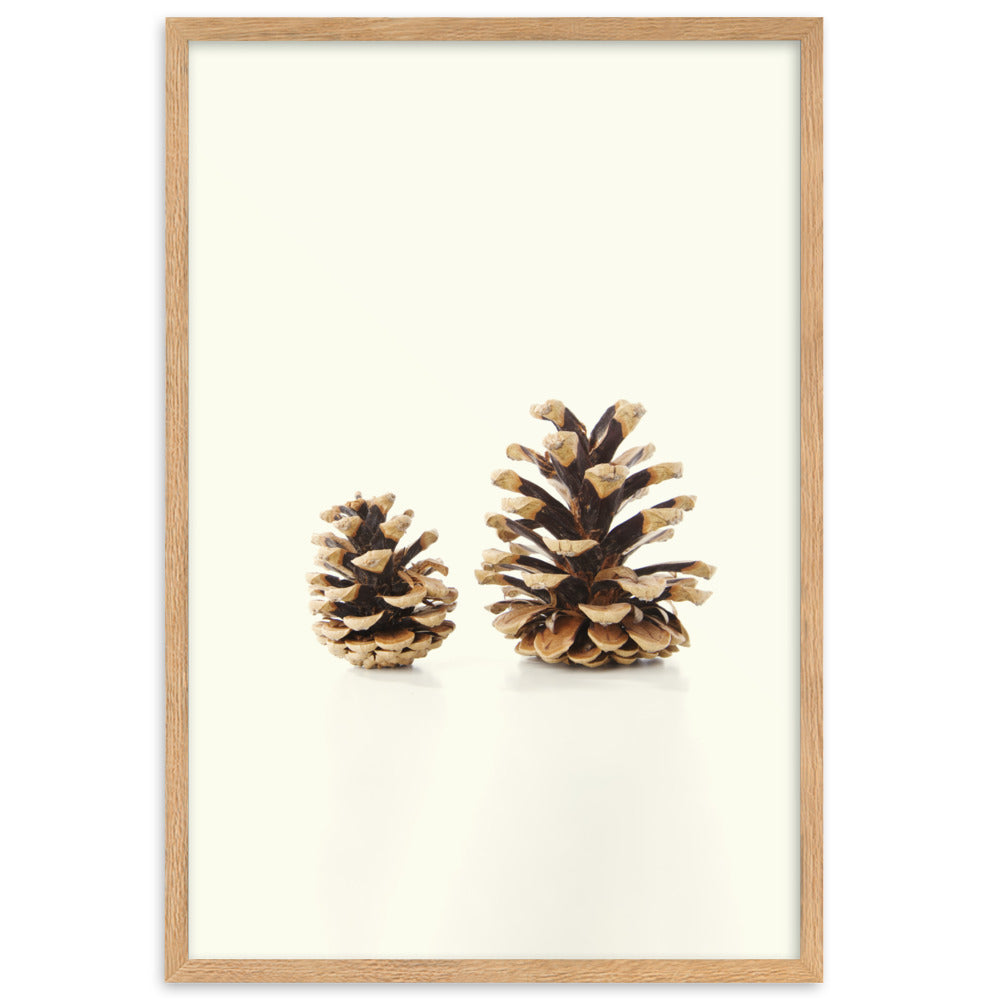 Pine Cone - Poster im Rahmen Oak / 61×91 cm artlia
