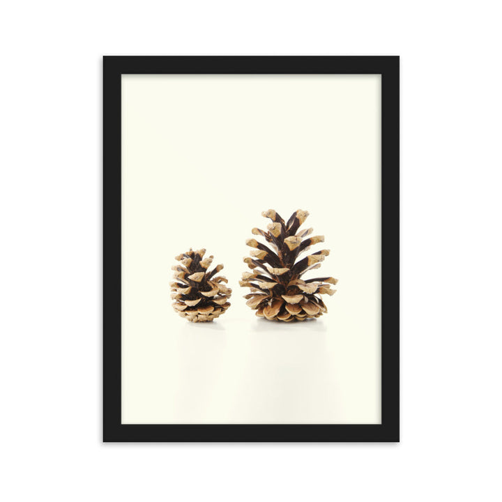 Pine Cone - Poster im Rahmen Schwarz / 30×40 cm artlia