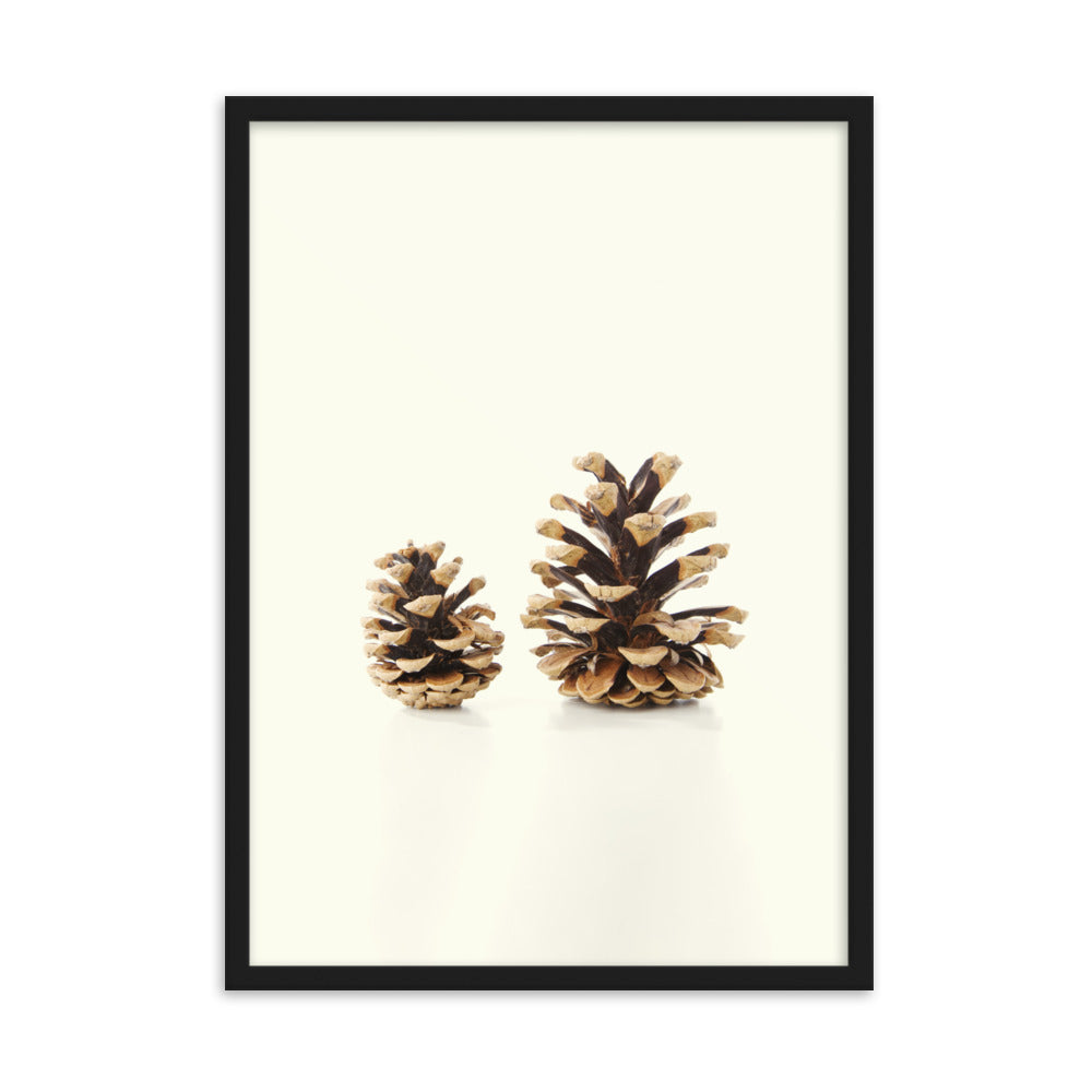 Pine Cone - Poster im Rahmen Schwarz / 50×70 cm artlia