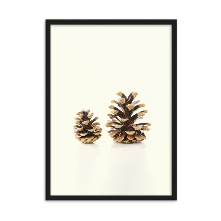Pine Cone - Poster im Rahmen Schwarz / 50×70 cm artlia