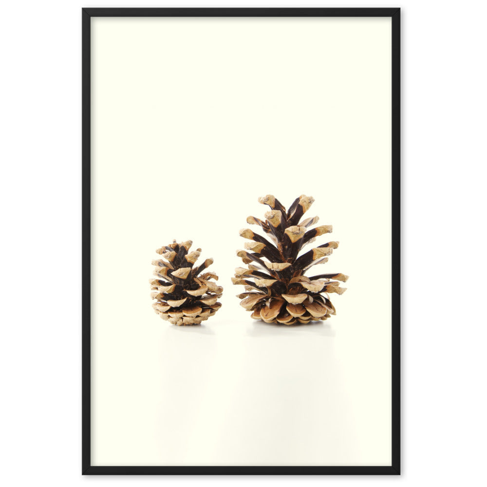 Pine Cone - Poster im Rahmen Schwarz / 61×91 cm artlia