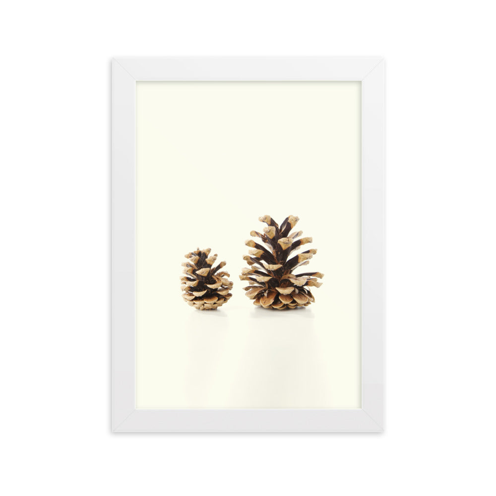Pine Cone - Poster im Rahmen Weiß / 21×30 cm artlia