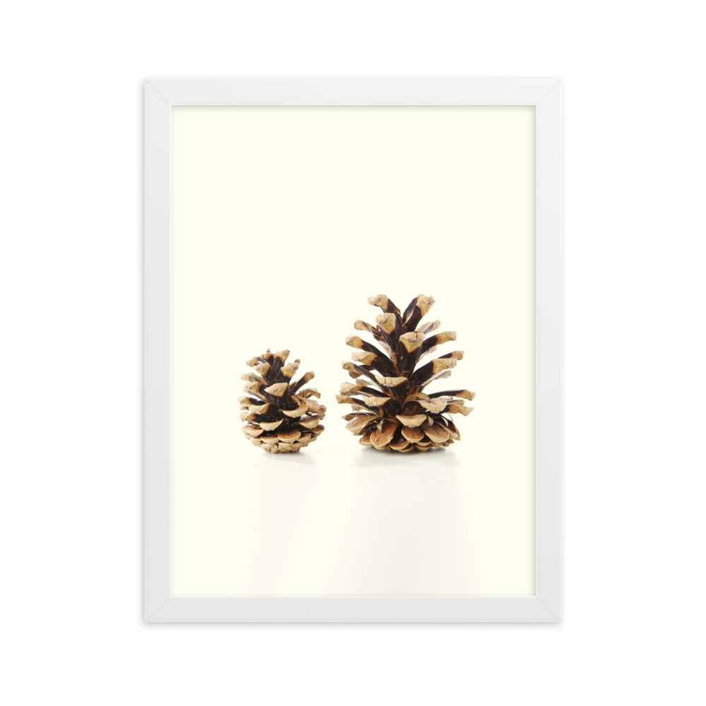 Pine Cone - Poster im Rahmen Weiß / 30×40 cm artlia