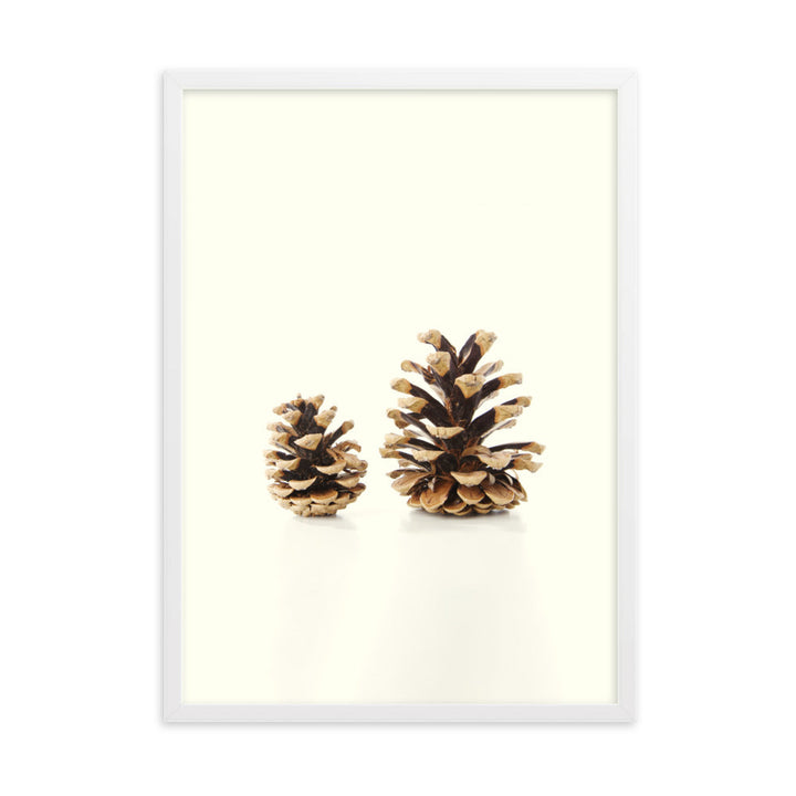 Pine Cone - Poster im Rahmen Weiß / 50×70 cm artlia
