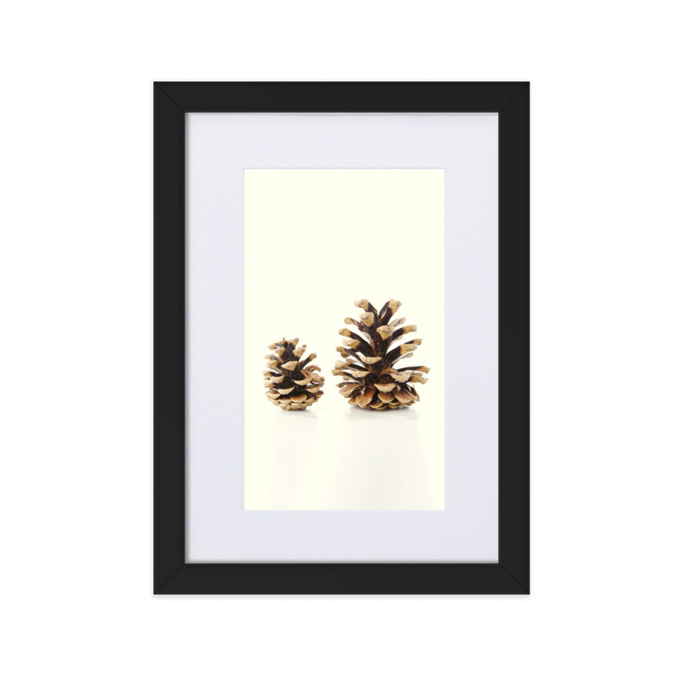 Pine Cone - Poster im Rahmen mit Passepartout Schwarz / 21×30 cm artlia