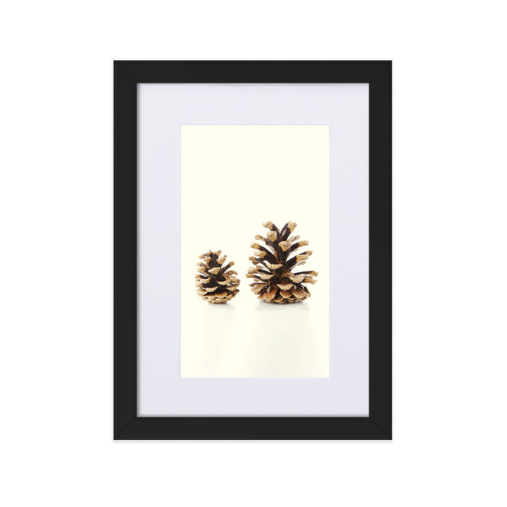Pine Cone - Poster im Rahmen mit Passepartout Schwarz / 21×30 cm artlia