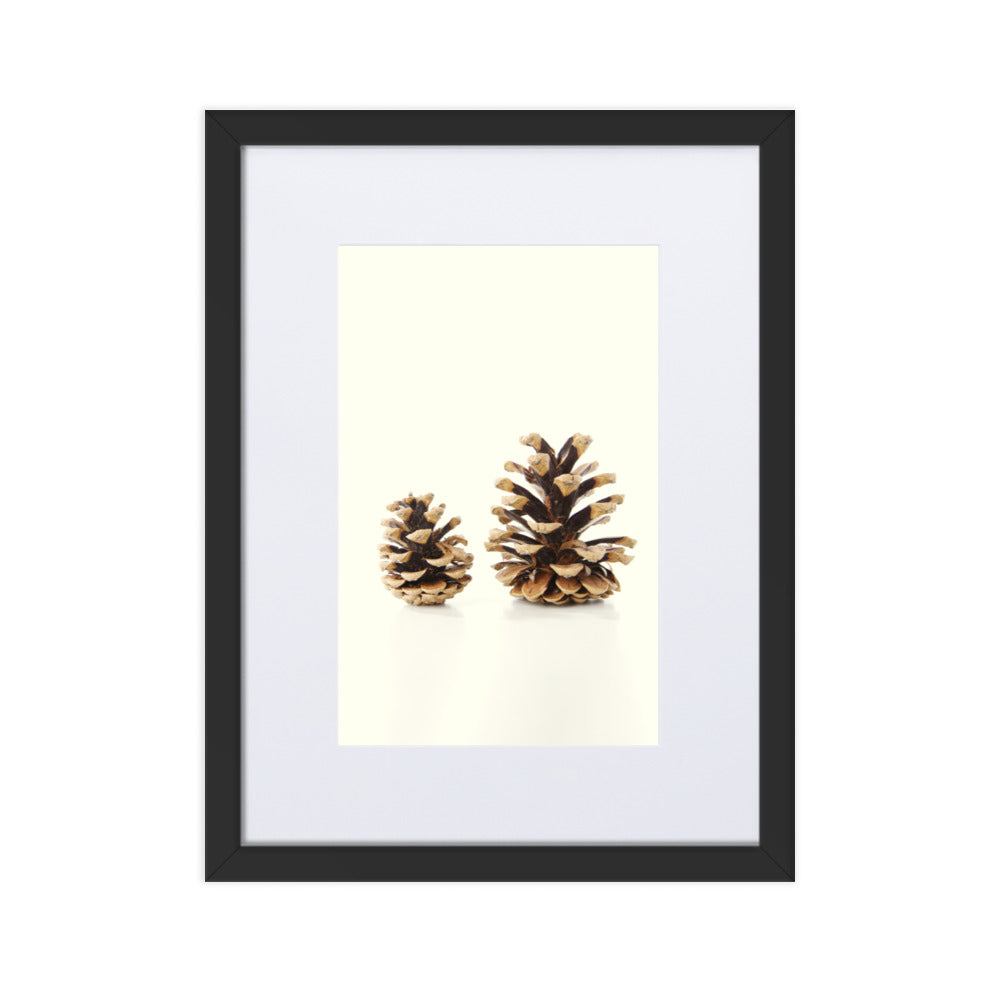 Pine Cone - Poster im Rahmen mit Passepartout Schwarz / 30×40 cm artlia