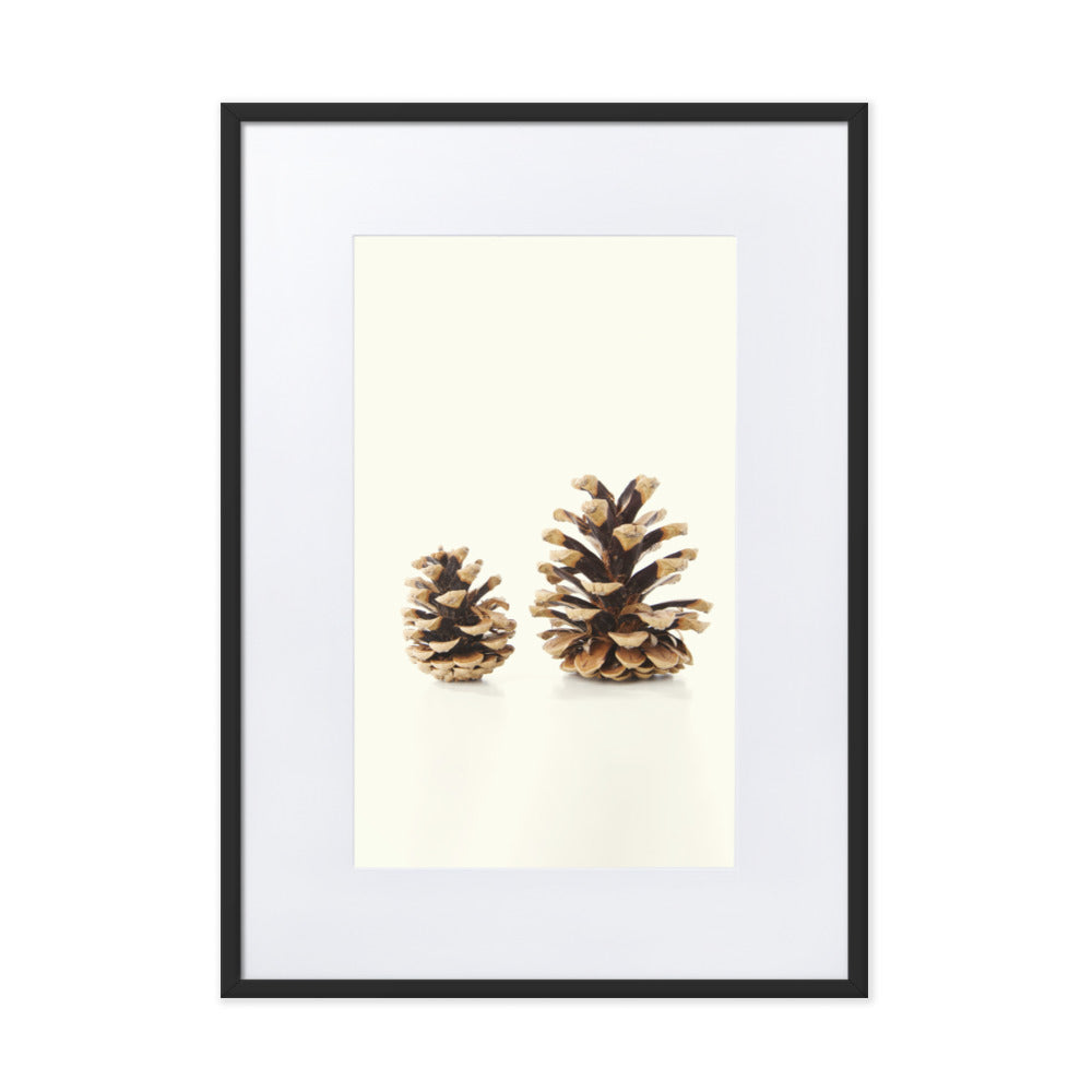 Pine Cone - Poster im Rahmen mit Passepartout Schwarz / 50×70 cm artlia