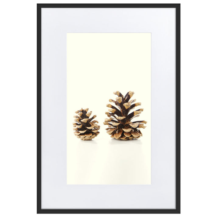 Pine Cone - Poster im Rahmen mit Passepartout Schwarz / 61×91 cm artlia