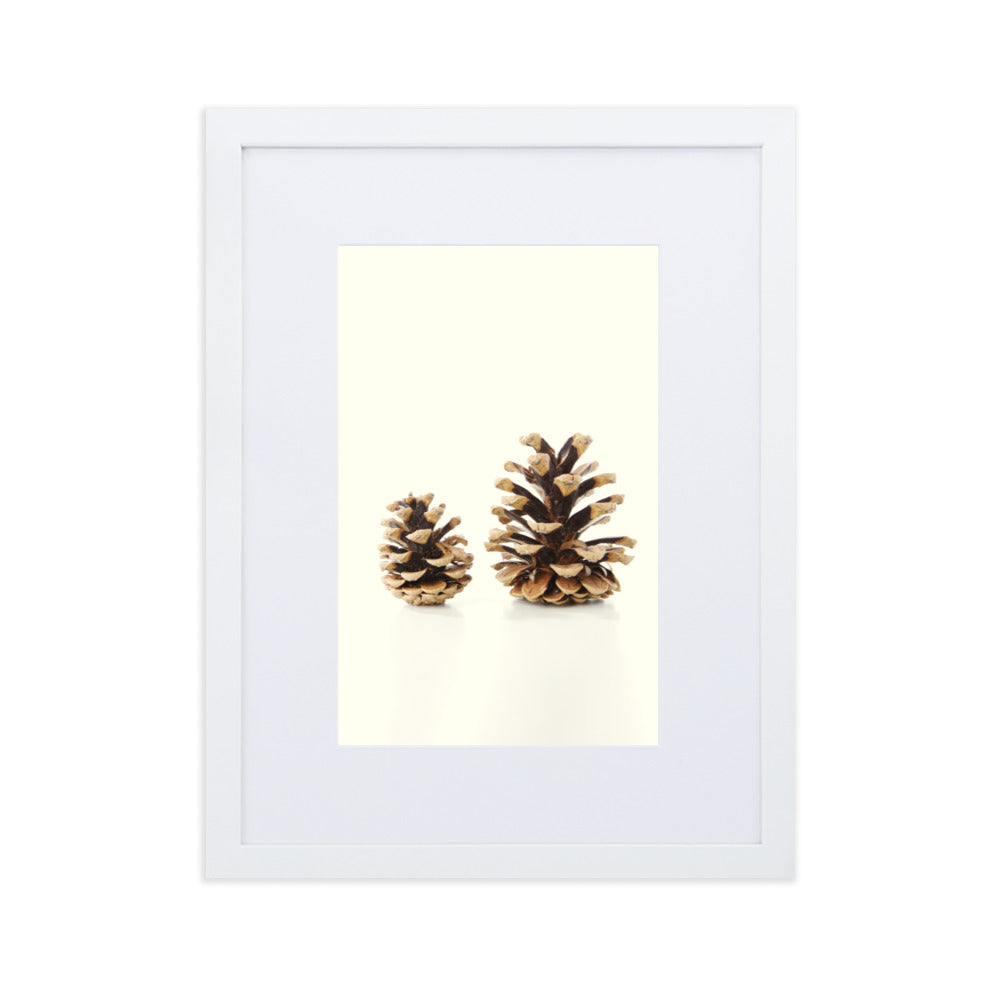 Pine Cone - Poster im Rahmen mit Passepartout Weiß / 30×40 cm artlia