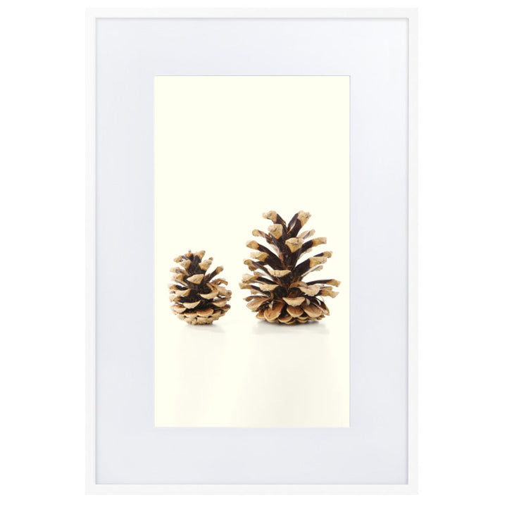 Pine Cone - Poster im Rahmen mit Passepartout Weiß / 61×91 cm artlia