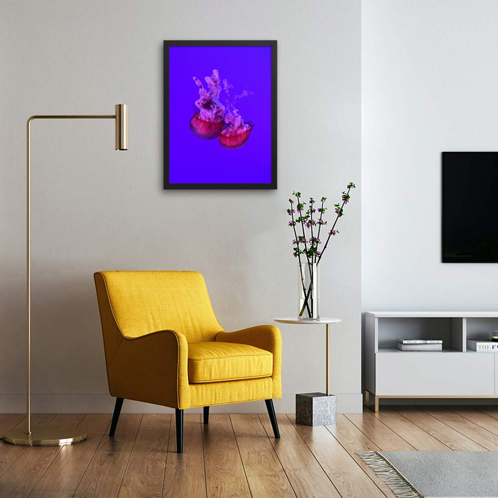 Pinke Qualle - Poster im Rahmen schwarz / 46x61 cm artlia
