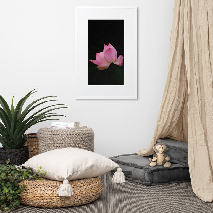 Poster mit Passepartout - Lotus Seerose artlia