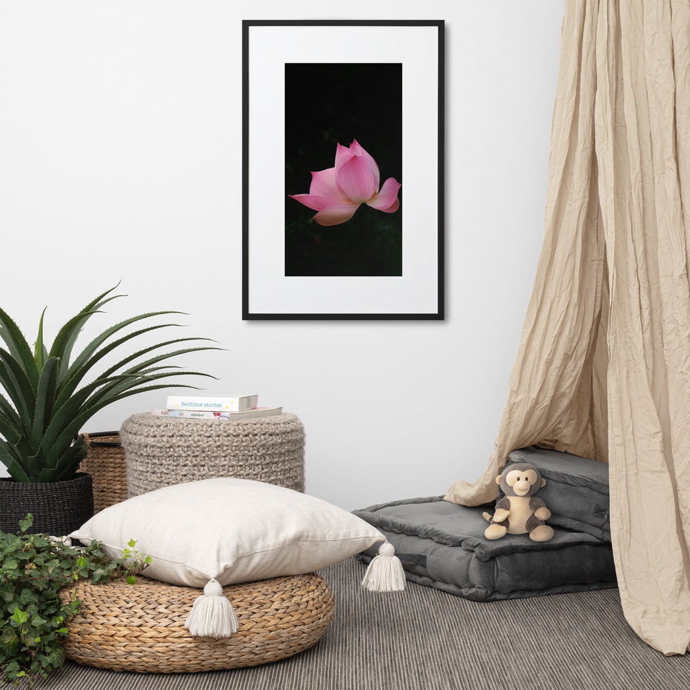 Poster mit Passepartout - Lotus Seerose artlia