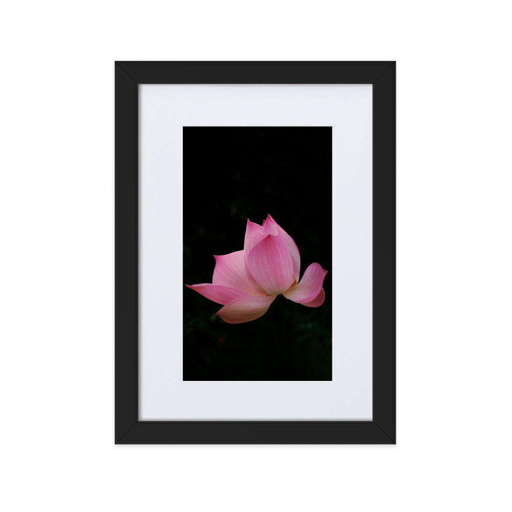 Poster mit Passepartout - Lotus Seerose Schwarz / 21×30 cm artlia