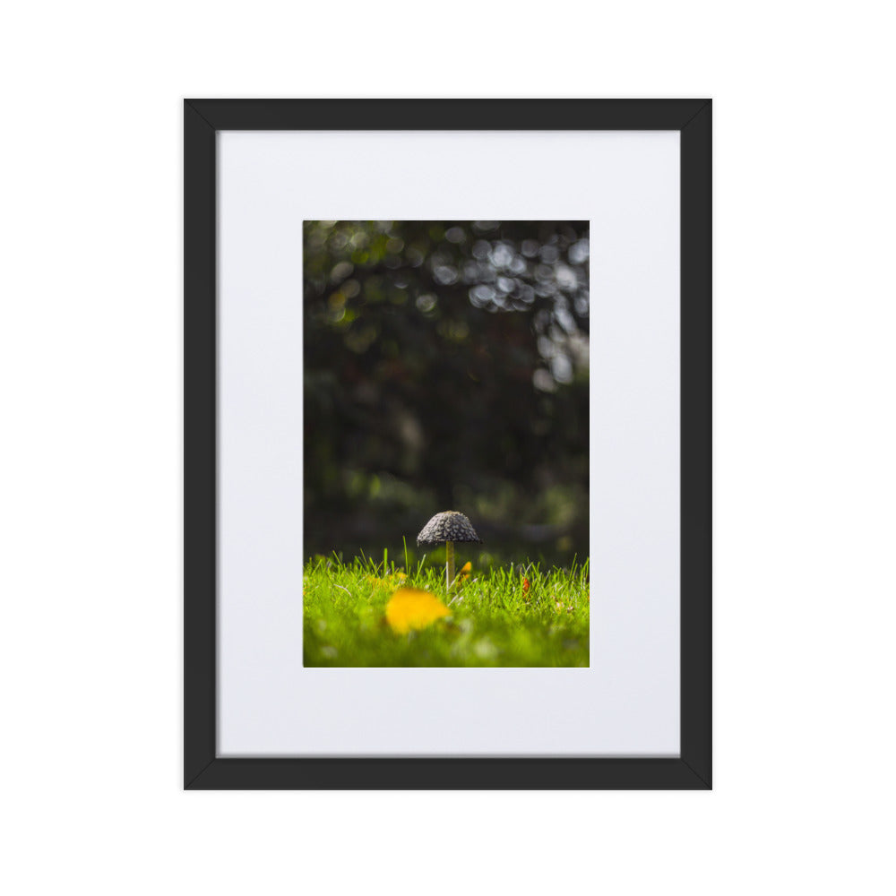 Poster mit Passepartout - Pilz Schwarz / 30×40 cm artlia