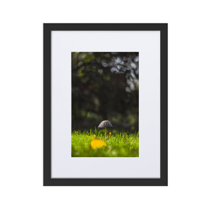Poster mit Passepartout - Pilz Schwarz / 30×40 cm artlia