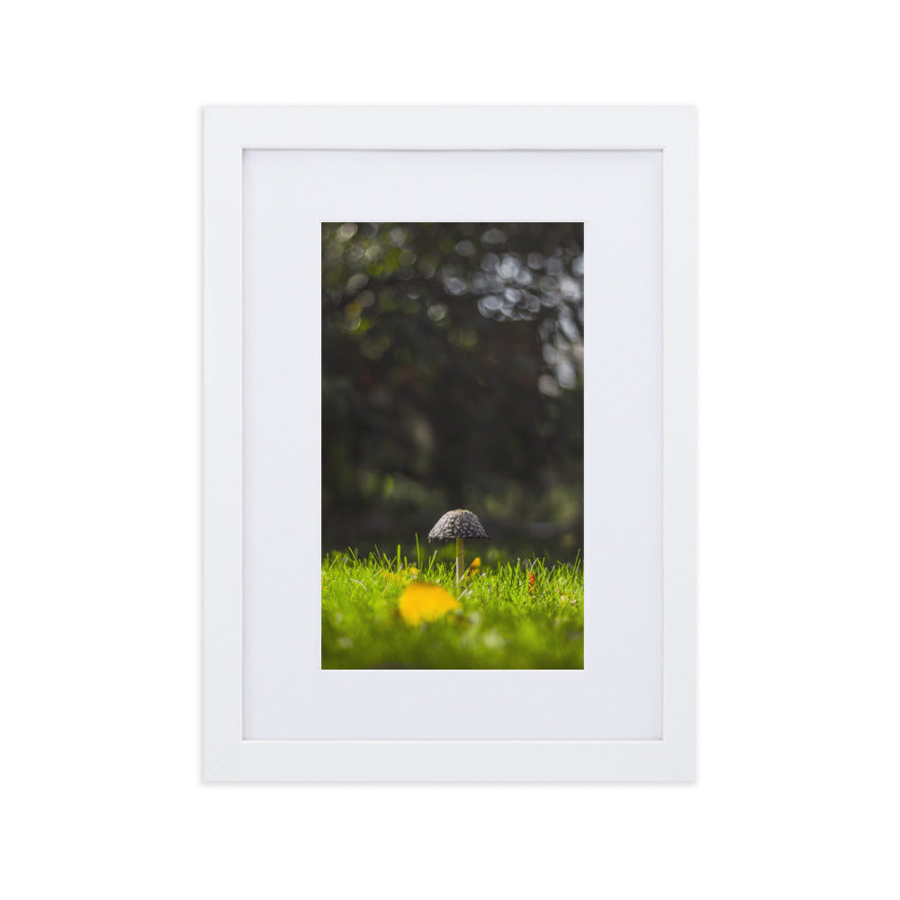 Poster mit Passepartout - Pilz Weiß / 21×30 cm artlia