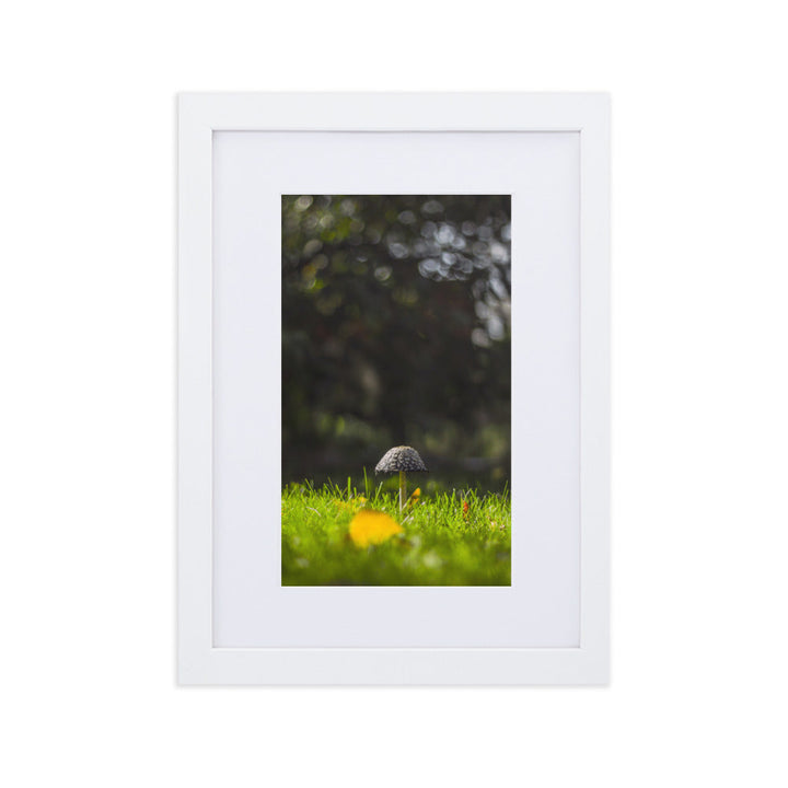 Poster mit Passepartout - Pilz Weiß / 21×30 cm artlia