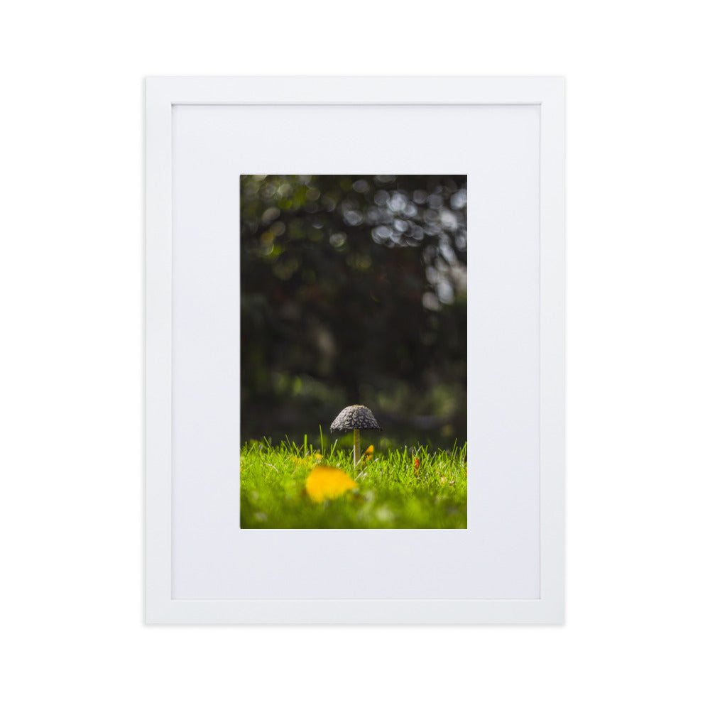 Poster mit Passepartout - Pilz Weiß / 30×40 cm artlia