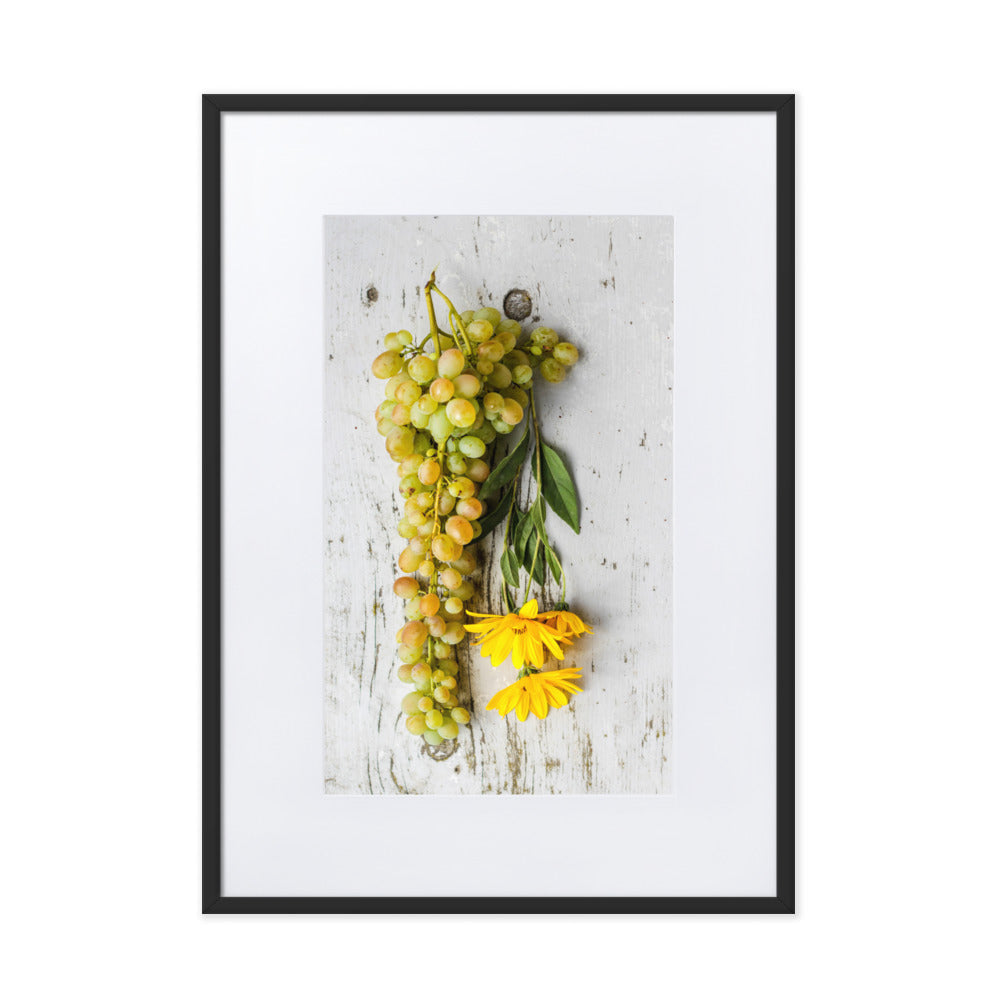 Poster mit Passepartout - Weintrauben und Blumen Schwarz / 50×70 cm artlia