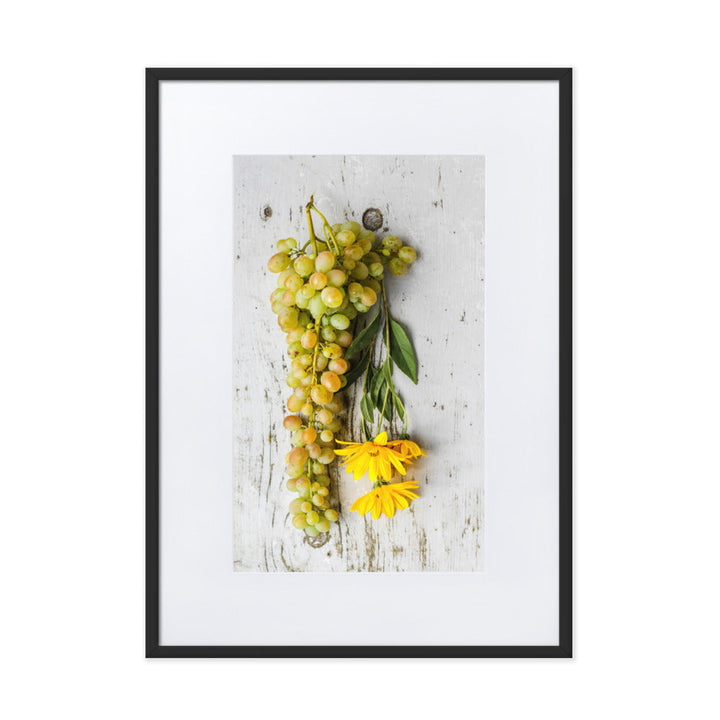 Poster mit Passepartout - Weintrauben und Blumen Schwarz / 50×70 cm artlia