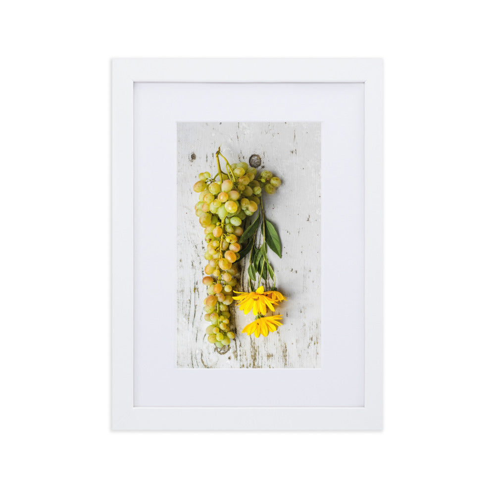 Poster mit Passepartout - Weintrauben und Blumen Weiß / 21×30 cm artlia