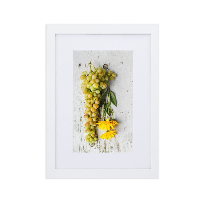 Poster mit Passepartout - Weintrauben und Blumen Weiß / 21×30 cm artlia