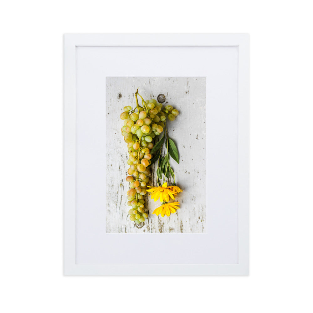 Poster mit Passepartout - Weintrauben und Blumen Weiß / 30×40 cm artlia