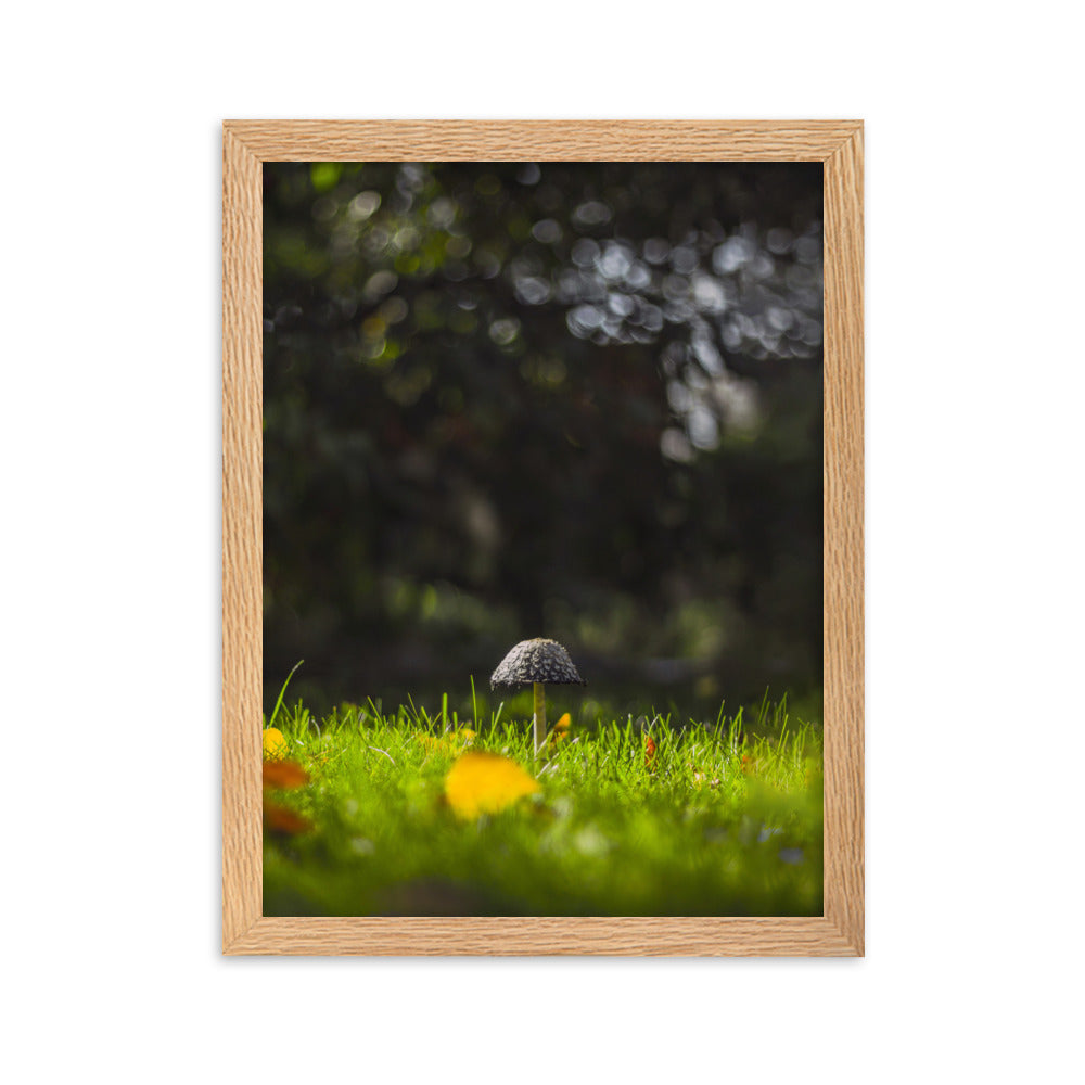Poster mit Rahmen - Pilz Oak / 30×40 cm artlia