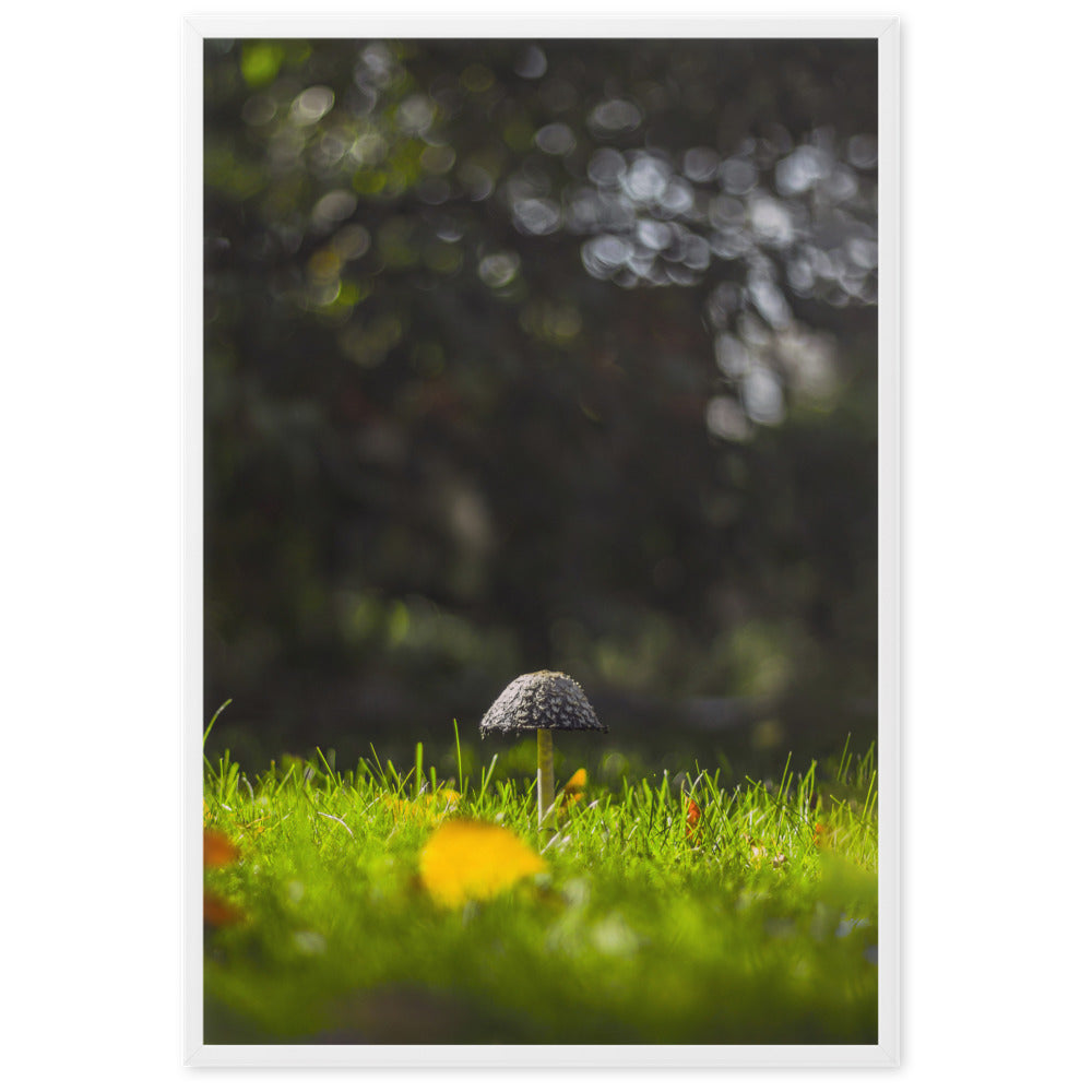 Poster mit Rahmen - Pilz Weiß / 61×91 cm artlia