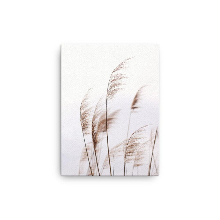 Schilf Reeds 01 - Leinwand 30x41 cm artlia