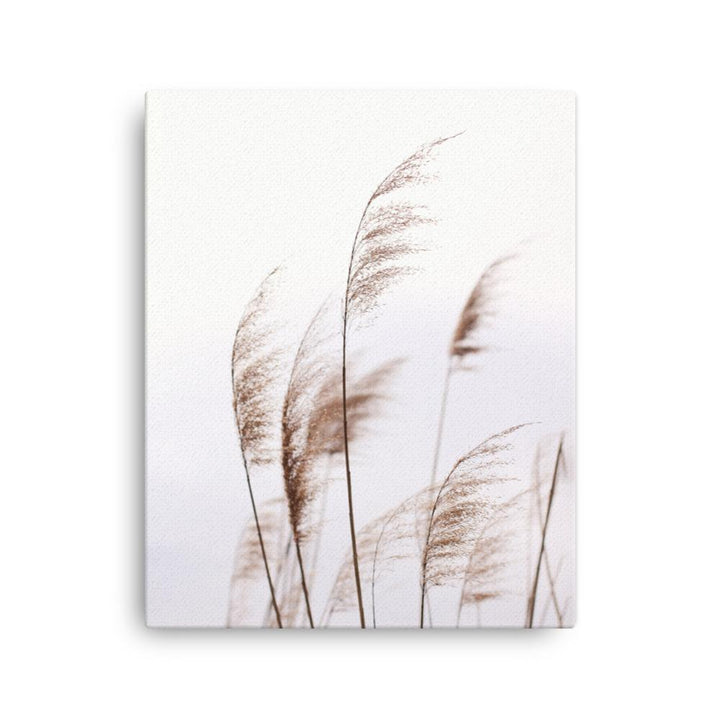 Schilf Reeds 01 - Leinwand 41x51 cm artlia
