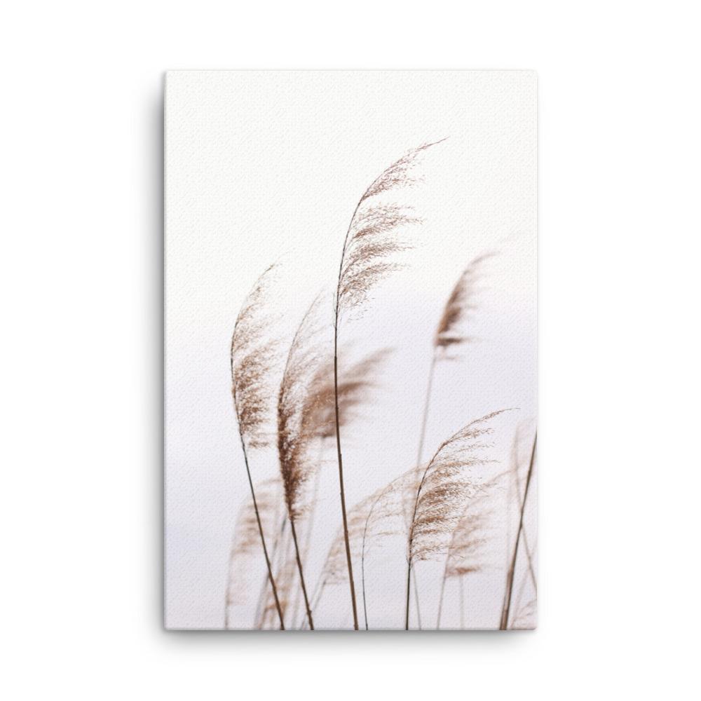 Schilf Reeds 01 - Leinwand 61x91 cm artlia