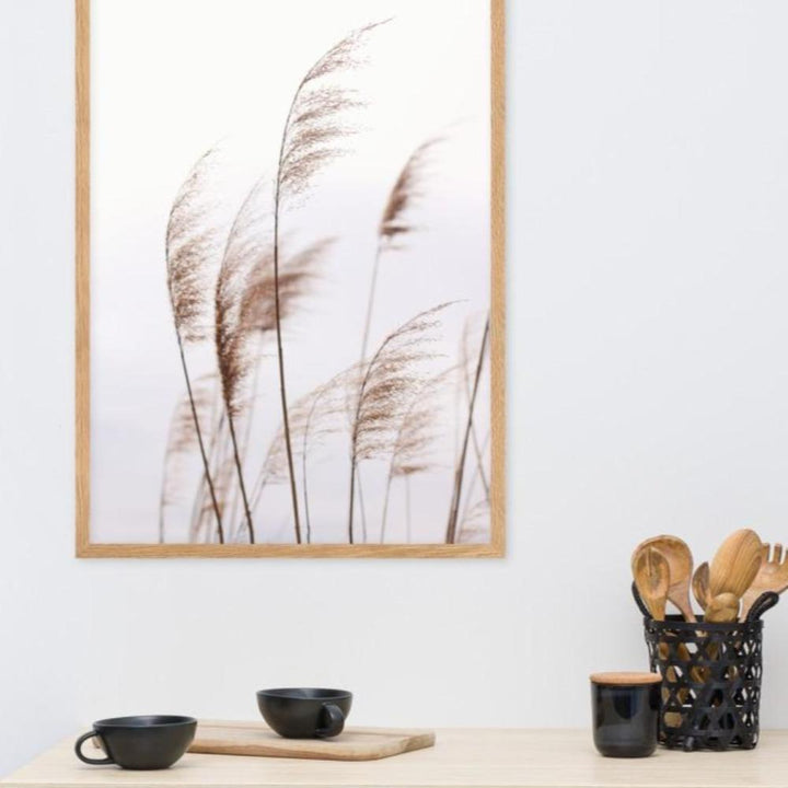 Schilf Reeds 01 - Poster im Rahmen artlia