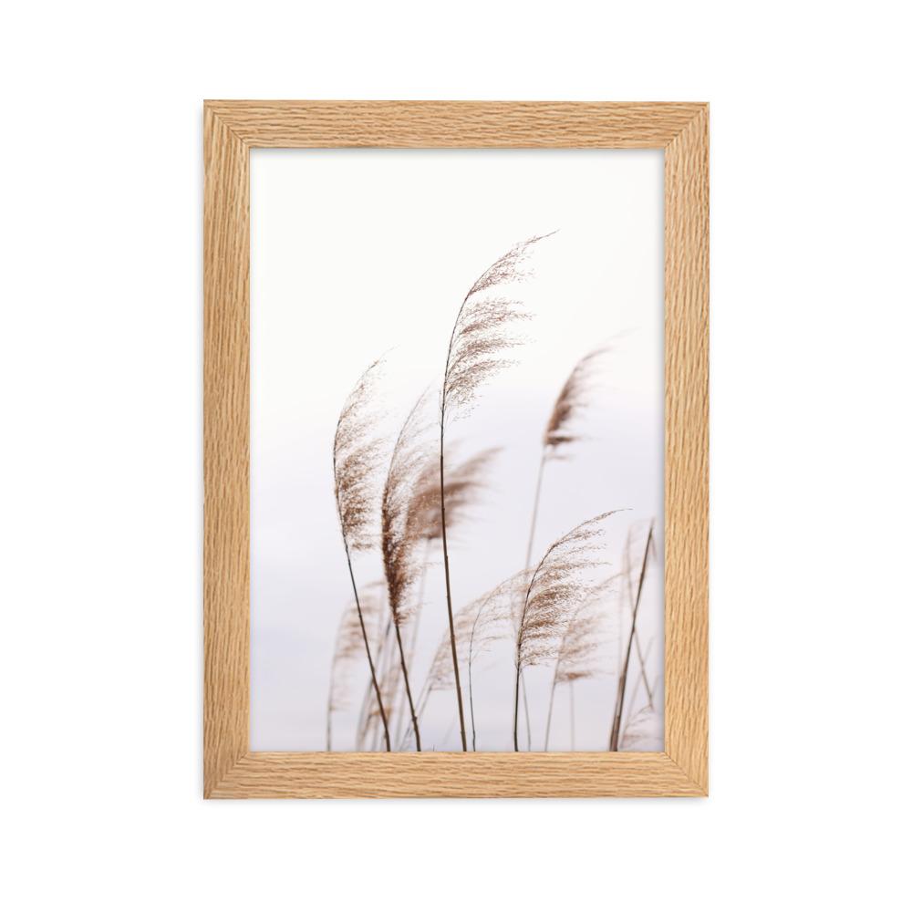 Schilf Reeds 01 - Poster im Rahmen Oak / 21×30 cm artlia