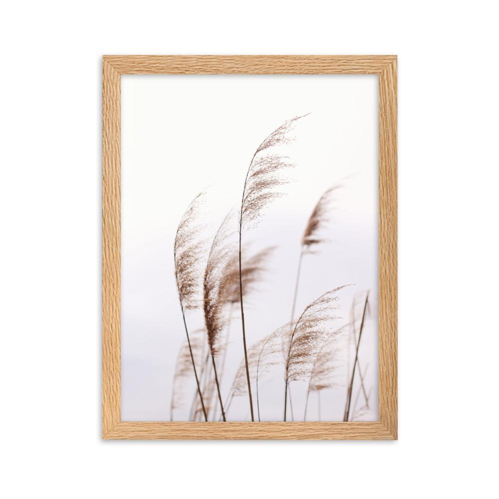 Schilf Reeds 01 - Poster im Rahmen Oak / 30×40 cm artlia