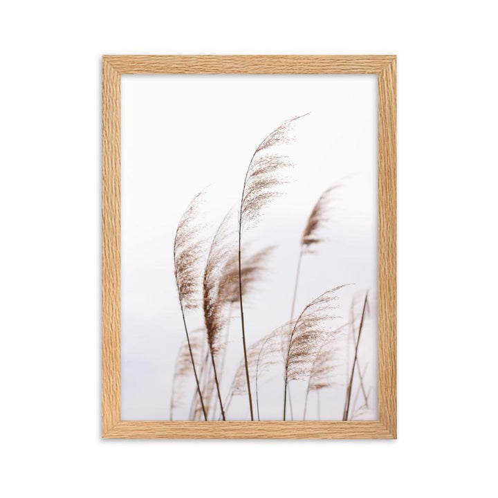 Schilf Reeds 01 - Poster im Rahmen Oak / 30×40 cm artlia