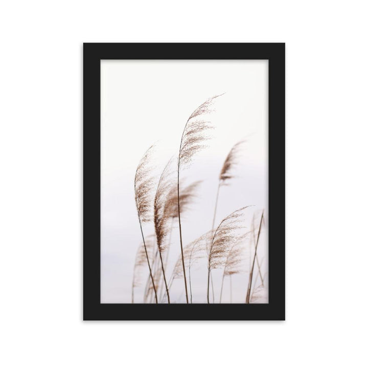 Schilf Reeds 01 - Poster im Rahmen Schwarz / 21×30 cm artlia