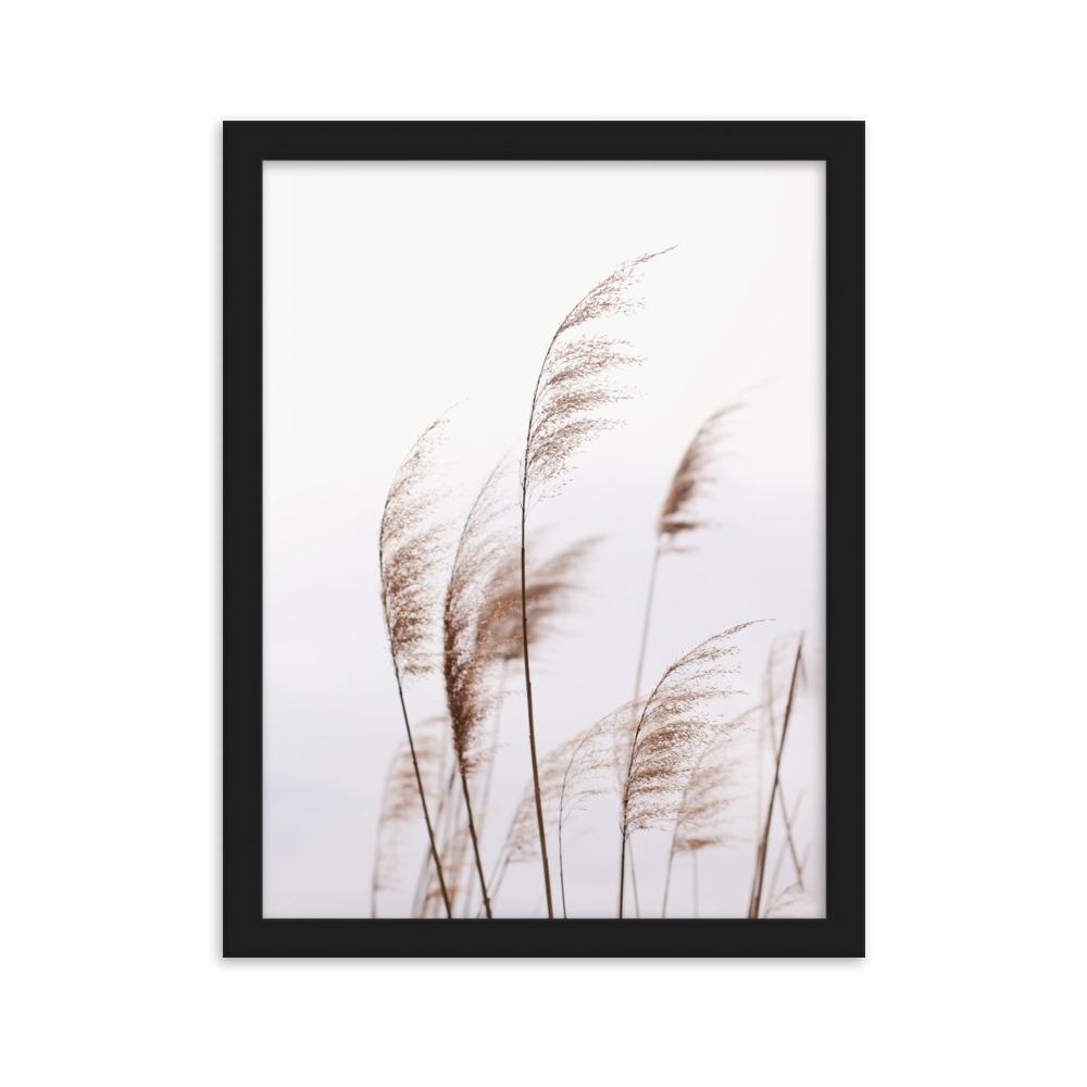 Schilf Reeds 01 - Poster im Rahmen Schwarz / 30×40 cm artlia