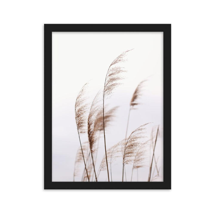 Schilf Reeds 01 - Poster im Rahmen Schwarz / 30×40 cm artlia