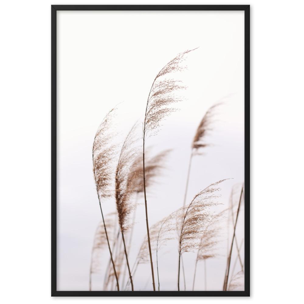 Schilf Reeds 01 - Poster im Rahmen Schwarz / 61×91 cm artlia