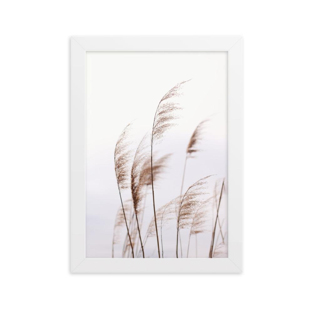 Schilf Reeds 01 - Poster im Rahmen Weiß / 21×30 cm artlia