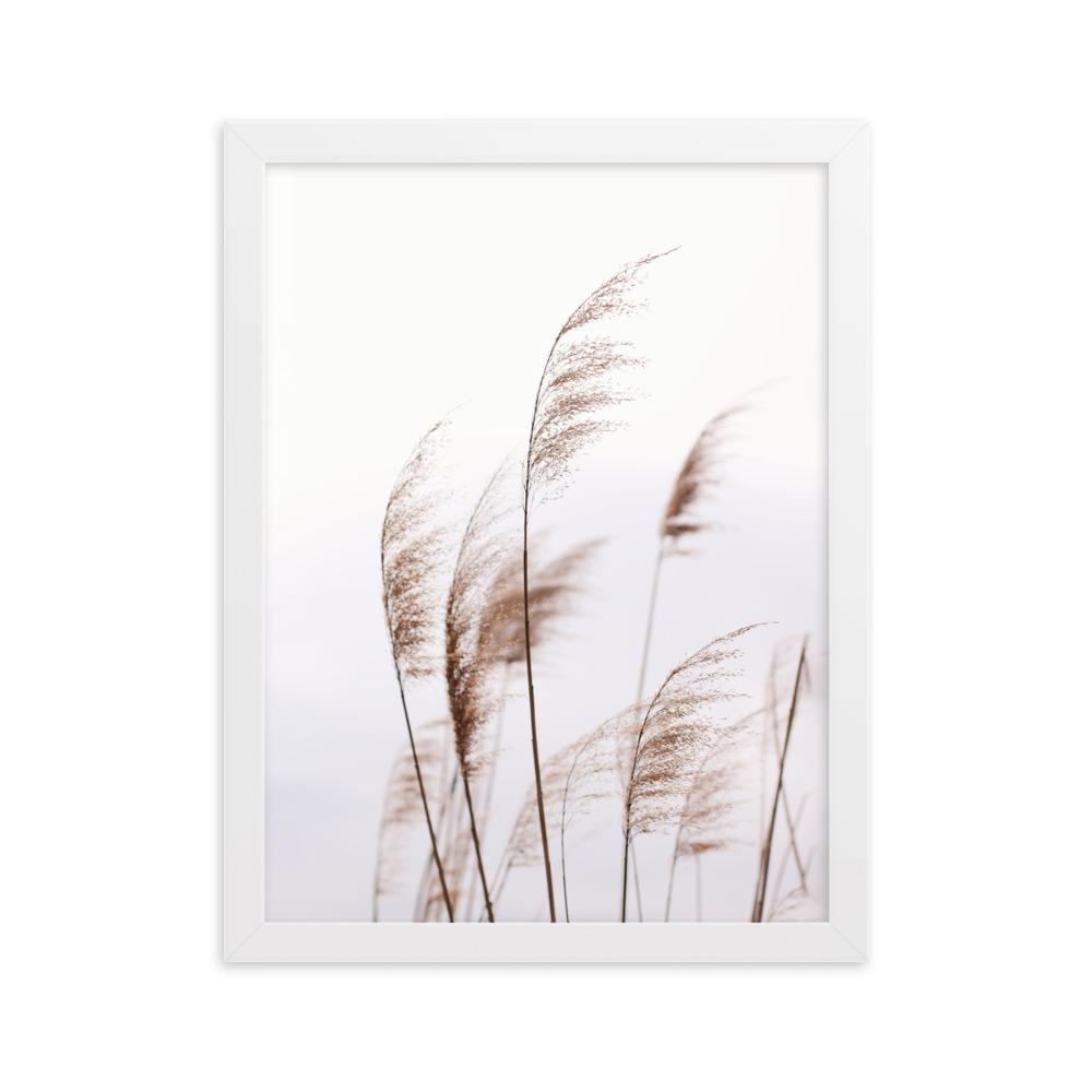 Schilf Reeds 01 - Poster im Rahmen Weiß / 30×40 cm artlia