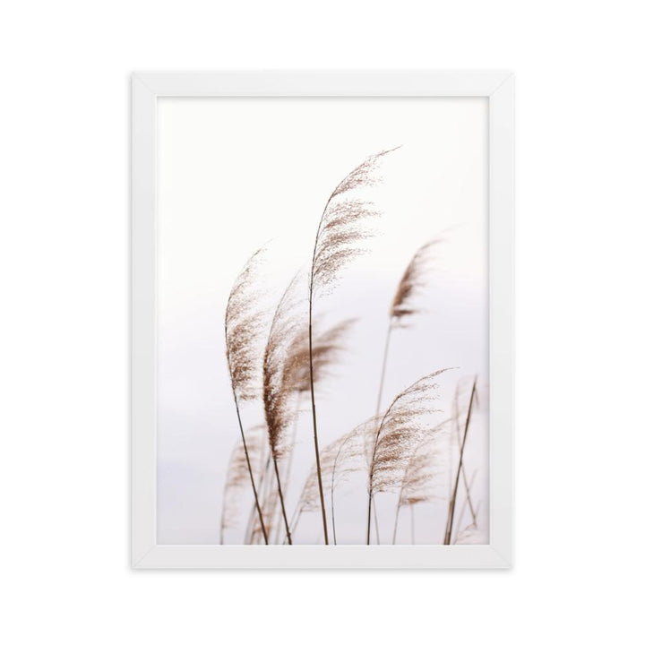 Schilf Reeds 01 - Poster im Rahmen Weiß / 30×40 cm artlia