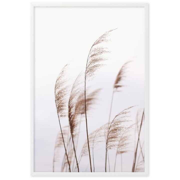 Schilf Reeds 01 - Poster im Rahmen Weiß / 61×91 cm artlia